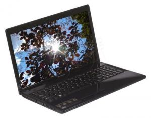 Lenovo IdeaPad G585G E1-1200 4GB 15,6\" HD 500 AMD W8