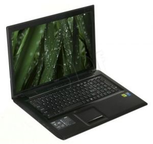 MSI CX70 2OC-075XPL i5-4200M 8 17,3 500 GT720M BSY